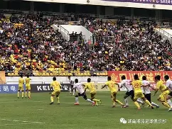 金星盘旋收花，浙江湖南战平共存不败的简单介绍