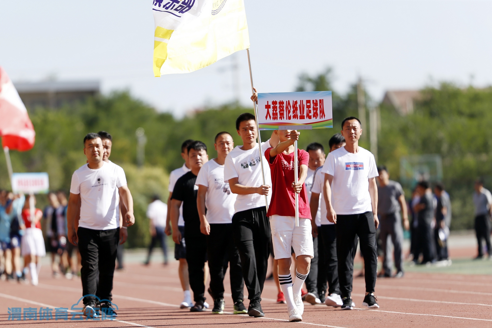 关于国内足球职业联赛球队状态与士气调查的信息