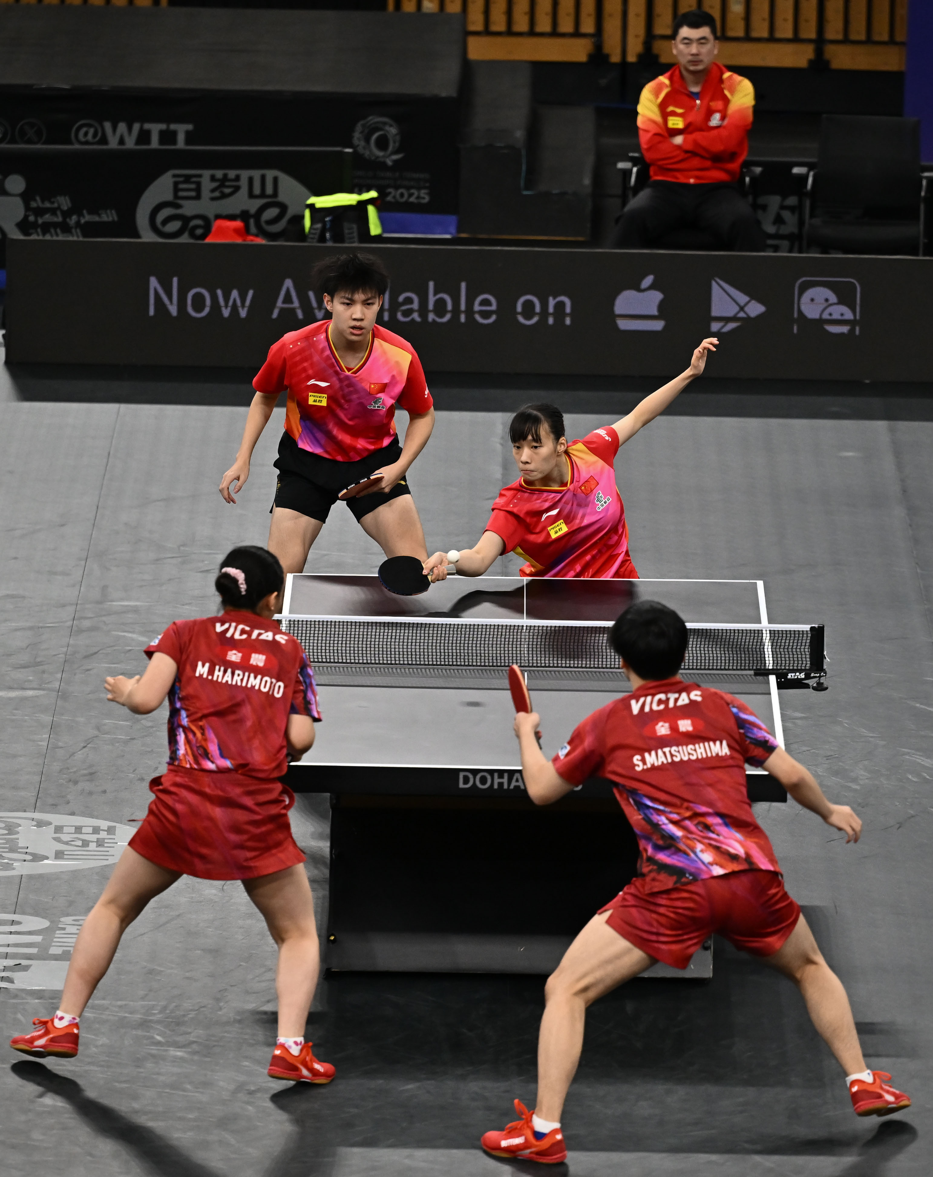 开云体育登录-卡塔尔选手展现强大实力