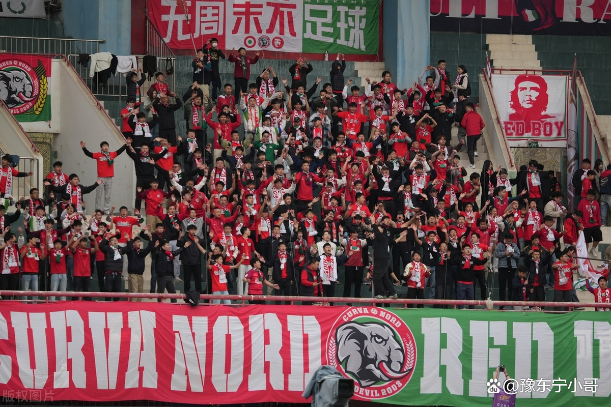 河南队外援身手惊人，助力球队获胜的简单介绍